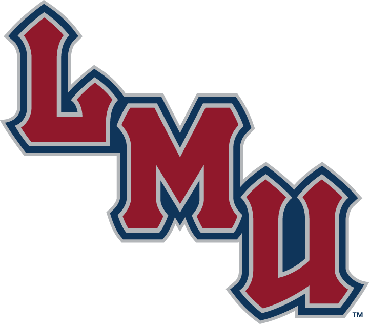 Loyola Marymount Lions 2001-Pres Wordmark Logo v4 iron on transfers for clothing